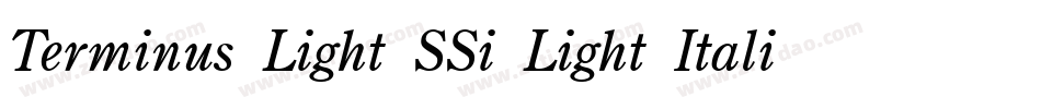 Terminus Light SSi Light Italic字体转换